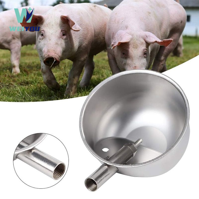 Abreuvoir en acier inoxydable pour cochon